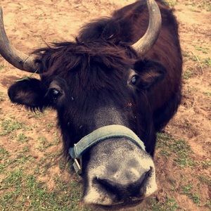 Meet your Posher, Karina